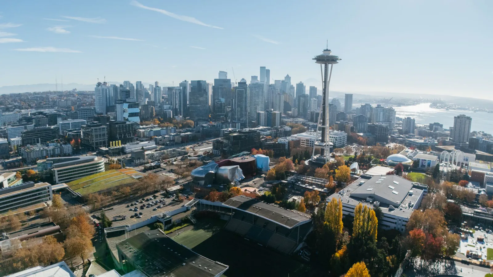 Seattle skyline with Space Needle